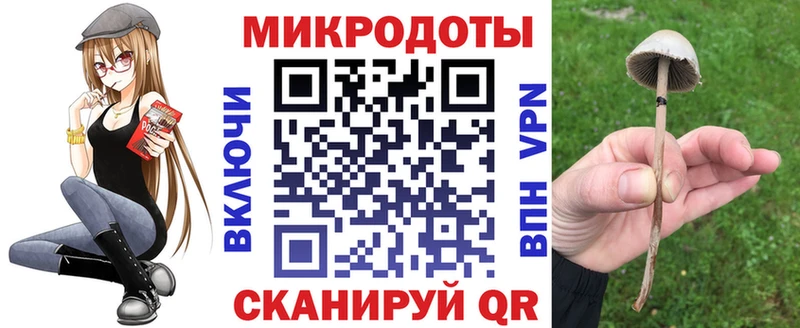 купить наркотик  Братск  Галлюциногенные грибы MAGIC MUSHROOMS 